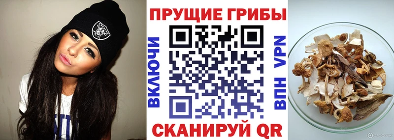Псилоцибиновые грибы ЛСД наркошоп Кола