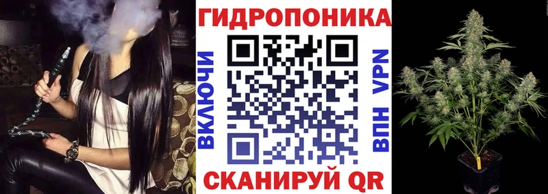 где купить наркоту  Кола  Конопля Ganja 